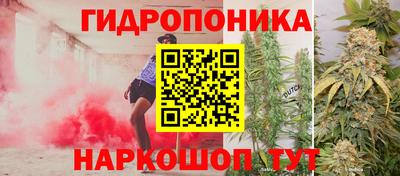 тгк Будённовск