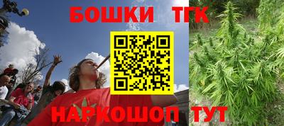 тгк Будённовск