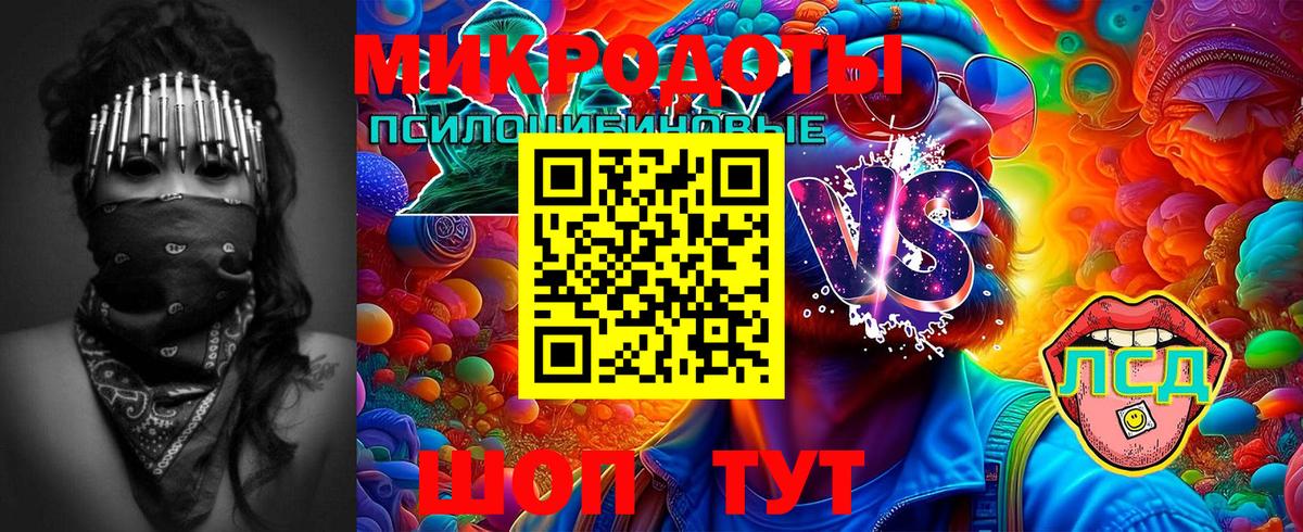 Галлюциногенные грибы Cubensis  Псилоцибиновые грибы Cubensis  Вход с VPN  что такое наркотик  Куйбышев 